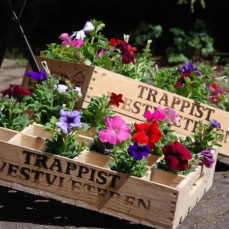 Bed & Breakfast Het Groote Genoegen 4*