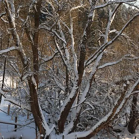 Bed & Breakfast Het Groote Genoegen Manderfeld