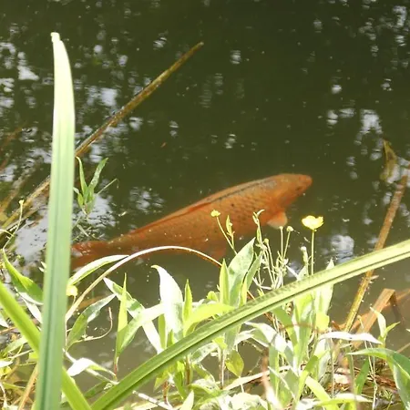 Het Groote Genoegen 4* Manderfeld
