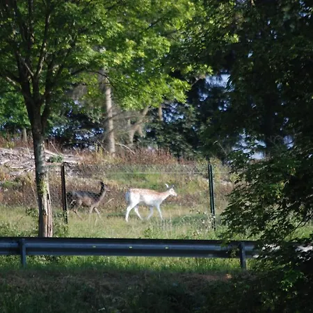 Bed & Breakfast Het Groote Genoegen