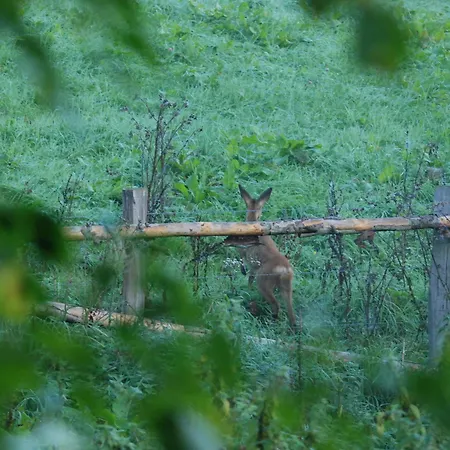 Het Groote Genoegen 4*