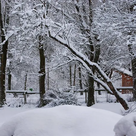 Het Groote Genoegen Manderfeld