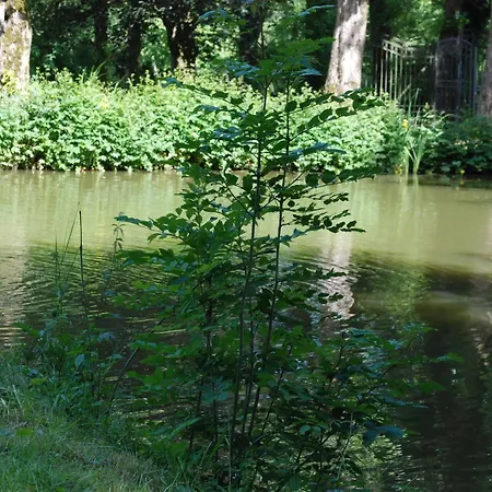 Het Groote Genoegen Manderfeld