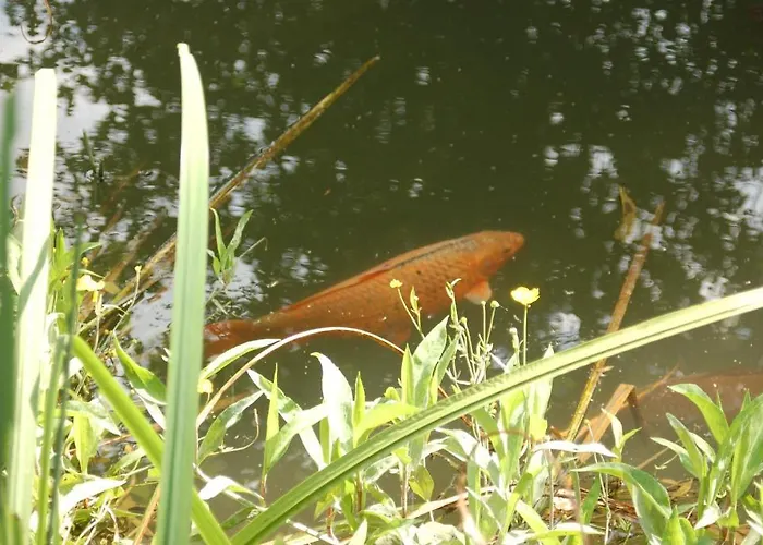 Het Groote Genoegen 4* Manderfeld